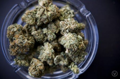 6256905406_28727e1e4e_o