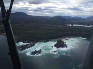 Herring spawn is clearly visible from the air in Krestof Sound on Monday (3-21-16). (KCAW photo/Emily Kwong)