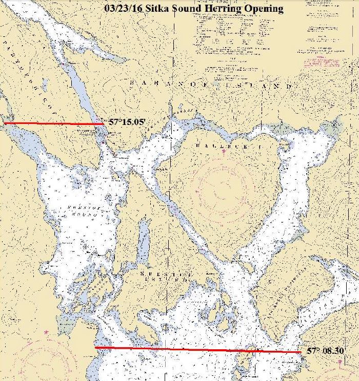 Large opener nets small returns for Sitka herring fisherman