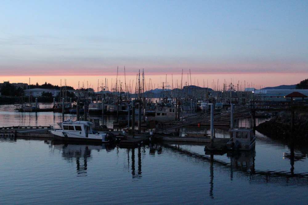 Assembly considers opening boats to tourists