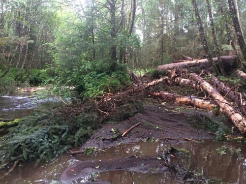 45ab1920-08ea-4b28-be8b-6f9f7a3ff9fd