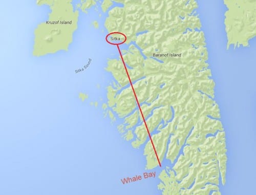 The whale was first seen about 40 miles southeast of Sitka in Whale Bay. (KCAW image)