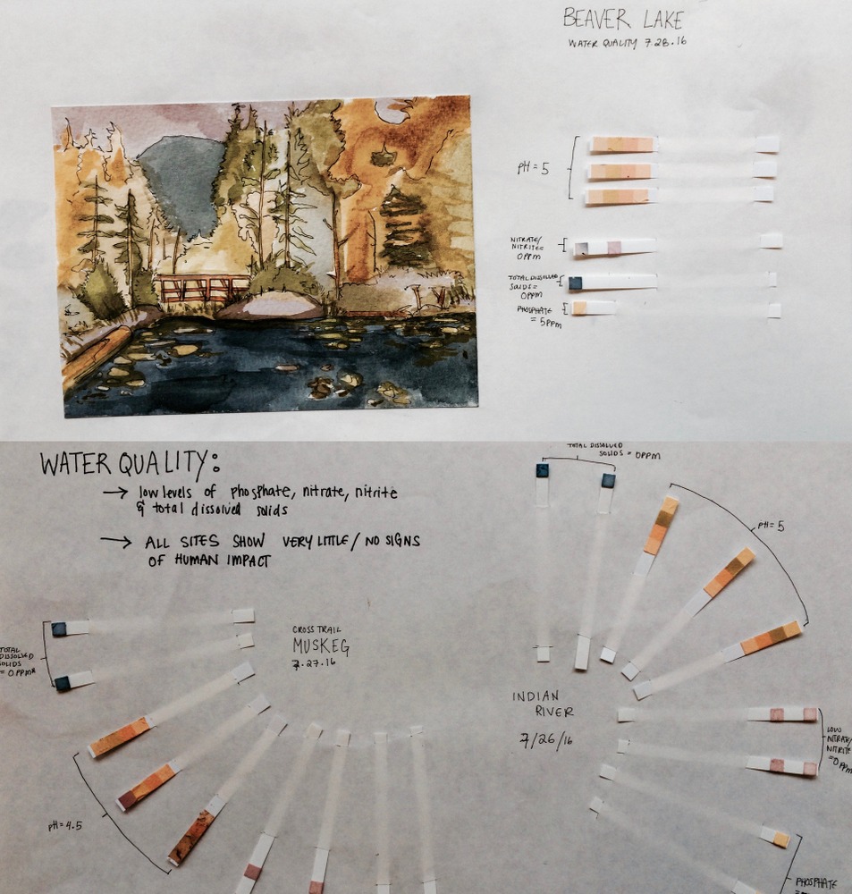 Right, left brains meet at Sitka Arts & Science Fest