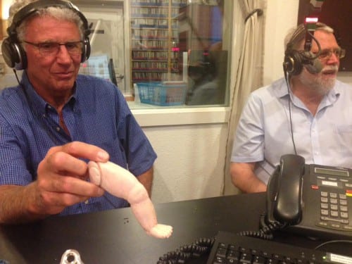 160816_DollLeg_woolsey