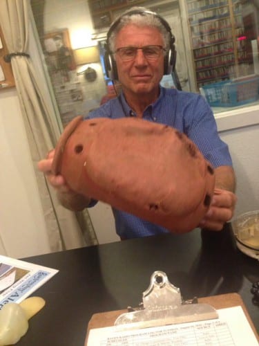 160816_Octopot_woolsey