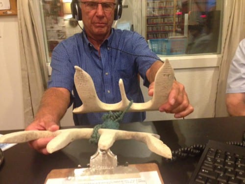 160816_flipflopTemplate_woolsey