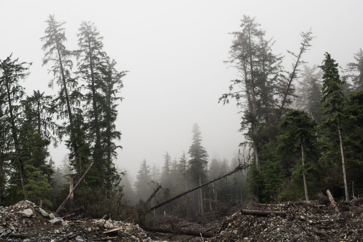 Notes from the Landslide: One Year Later