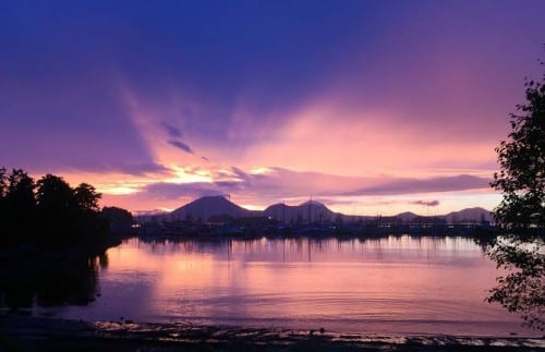 14492365_10154054089839163_2704415478475634785_n