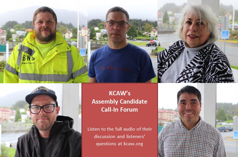 Listen: Assembly Candidates Answer Your Questions