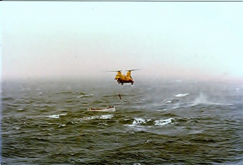 Canadian Labradors (2) Horse Collar Lift