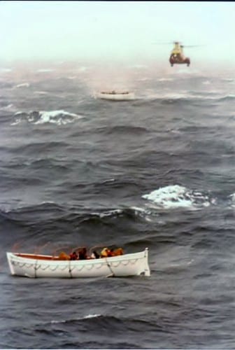 Canadian Labradors (3)