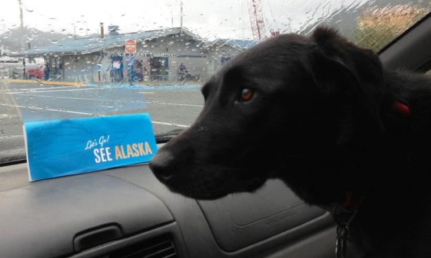 Ferry system plans more fare hikes