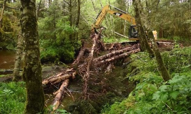 Sitka ranger makes case for fisheries, recreation