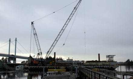 Huge crane positioned for private, public jobs