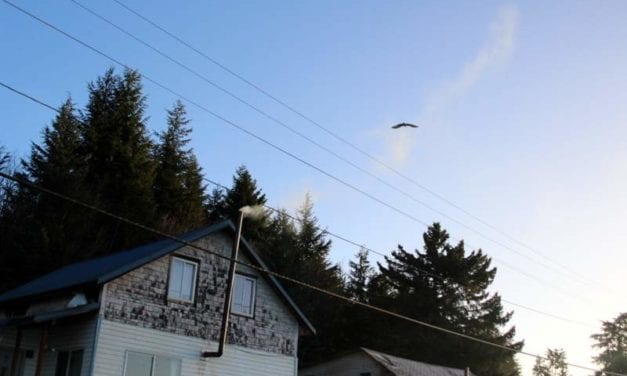 Student Essay: The Turnaround