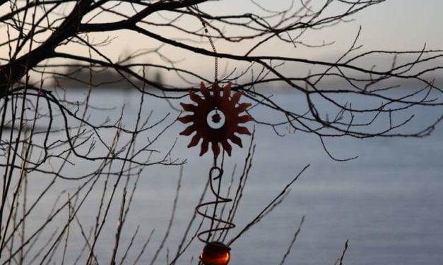 Reporter’s Notebook: Sunny in Kake