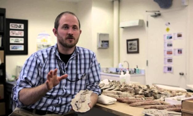 Paleontologist looks to past for future of marine life