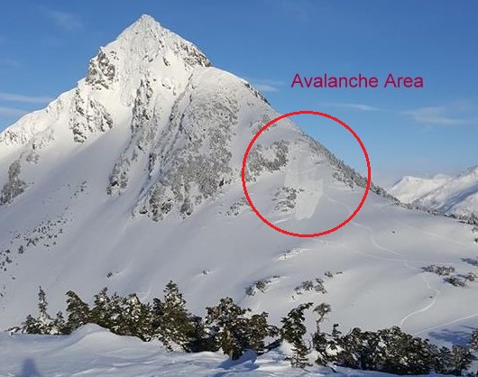 The slide, which Weissberg describes as "sluff," originated on the shoulder of Arrowhead Peak, where Sitka skiers and snowboarders commonly begin their runs. (Alex Weissberg photo)