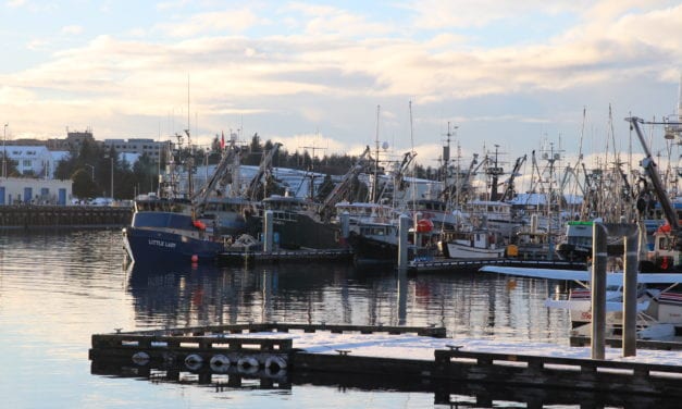 Herring fishery remains closed, more test sets tomorrow