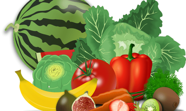 Healthy Lifestyles sessions promote healthy eating, physical activity