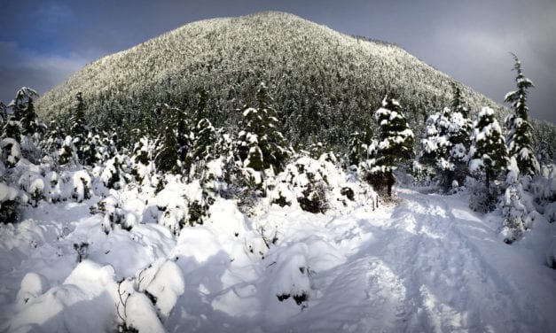 Hiker safe after stranded overnight on Gavan Hill