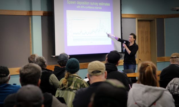 Forecasting Sitka’s herring biomass is a thorough-but-imperfect science