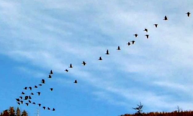 Video: Bring on spring!