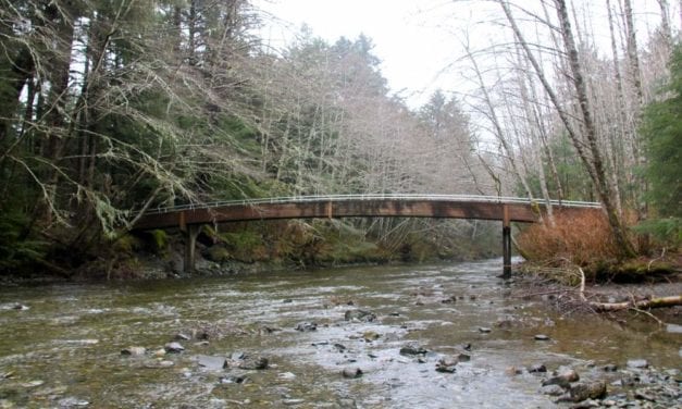 Salmon viewing bridge undergoes replacement