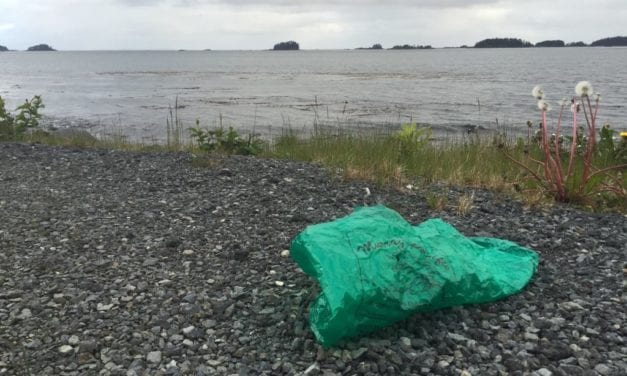“We can do better”: Plastic bag fee postponed by Sitka Assembly