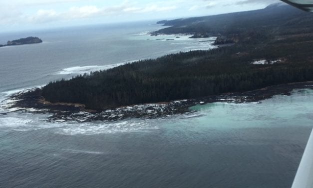 With fishery complete, ADF&G measures 12 miles of herring spawn