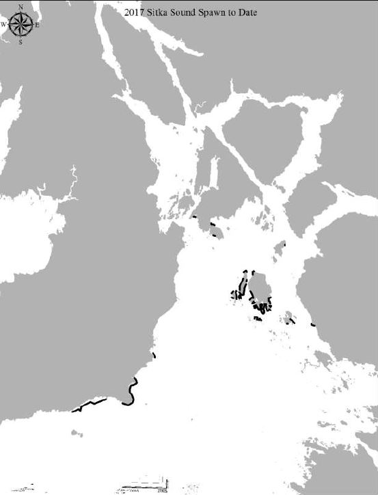 With fishery complete, ADF&G measures 12 miles of herring spawn - KCAW