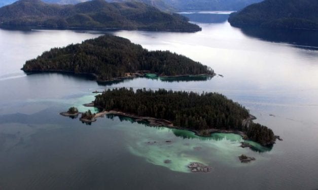 To date, ADF&G maps 34 miles of herring spawn