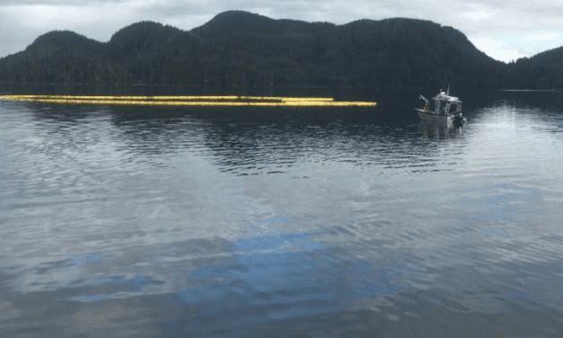 UPDATE: Sunken tugboat to be assessed for salvage, oil spill contained