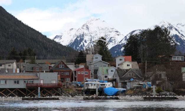 Sitka herring fishery closes early, 8,300 tons short of quota