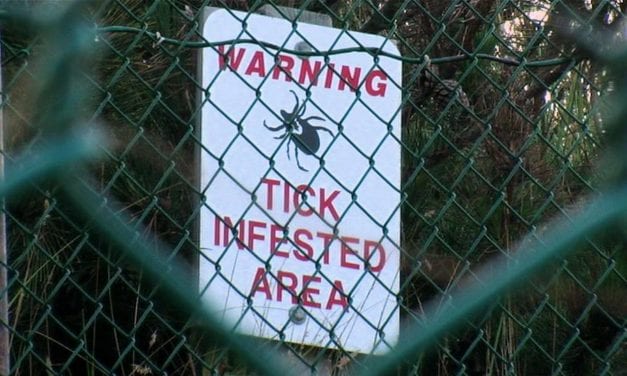 Lyme disease the focus in documentary screenigs