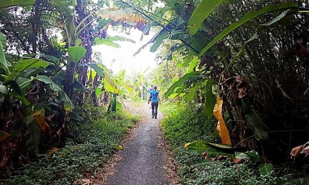 Climate change a threat on Mekong Delta