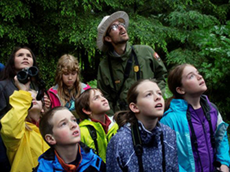 Break out your binoculars! The birds are coming!