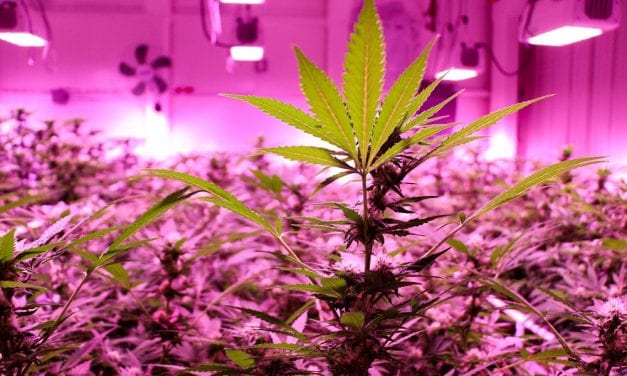 Fuel, marijuana tax questions progress at Assembly table