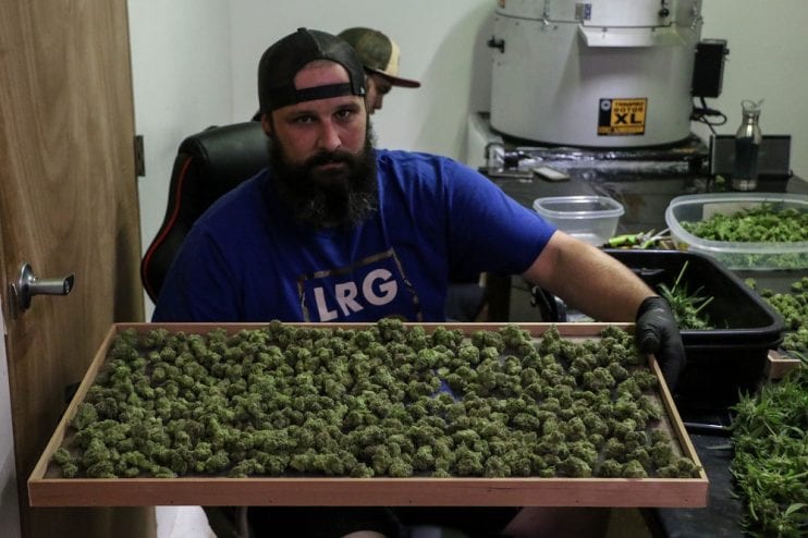 170720_Weed_Clark_12