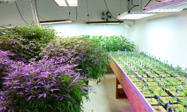 Assembly rejects cannabis retail tax ballot prop on split vote