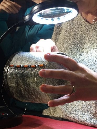 170728_fishskins_gibson3