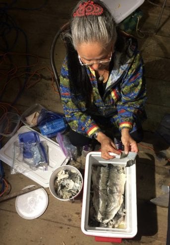 170728_fishskins_gibson6