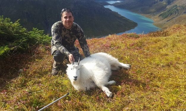 With smaller zones, ADF&G seeks to stabilize mountain goat hunt