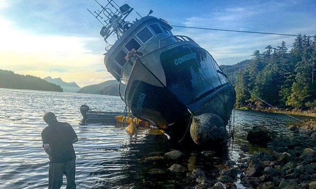 Seiner loses 70,000 lbs. of pink salmon in Neva Strait grounding