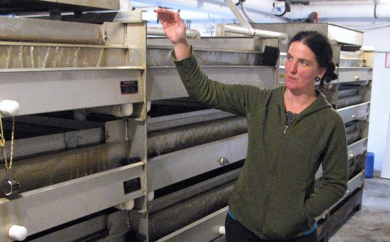 Sitka Sound Science Center Aquaculture Director Angie Bowers explains operations in the Sheldon Jackson Hatchery's egg room Sept. 14, 2017. (Ed Schoenfeld/CoastAlaska News)