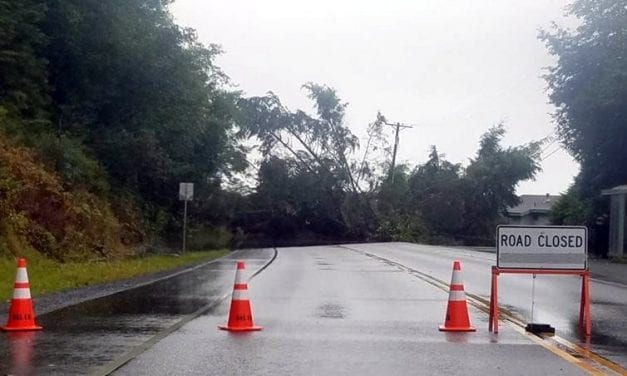 Landslide closes Halibut Point Road in Sitka
