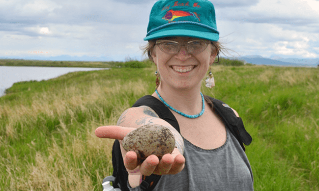 Sopow runs as Sitka Assembly write-in candidate