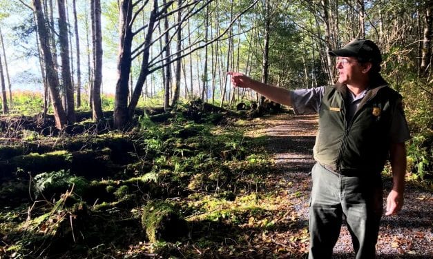 Restoration project gives historic battle site a new view