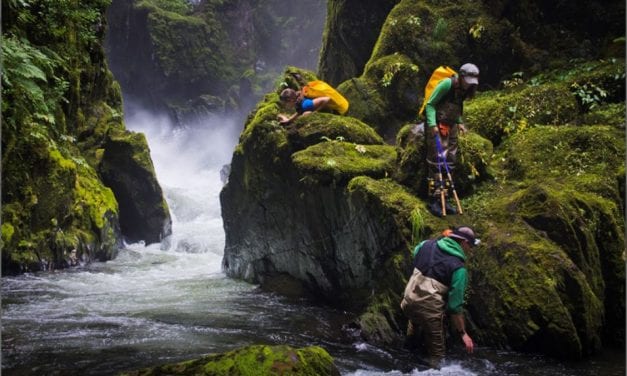 Genetics key to long-term study of Alaska’s hatchery salmon
