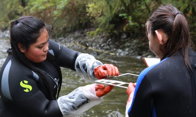 Students gain fieldwork experience in Indian River